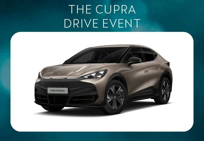 New Tavascan V1 210KW 77kWh